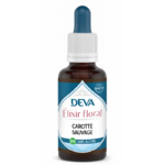 carotte-sauvage - Elixir floral - Deva - 30ml - Sans alcool