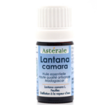 lantana camara - Huile essentielle - Qualité - Astérale