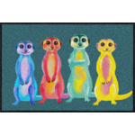 SLD3028-050x075A_Rainbow-Meerkats