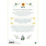 lâme des plantes verso