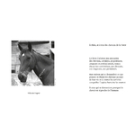 la voix du cheval page
