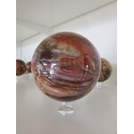 Sphère Bois fossilisé 2- 3774