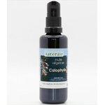 Calophylle huile végétale