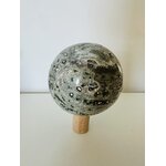 Jaspe Orbiculaire  - 3777