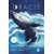 Oracle de la baleine