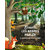ecouter les arbres - bd