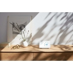 Nest Hub Google