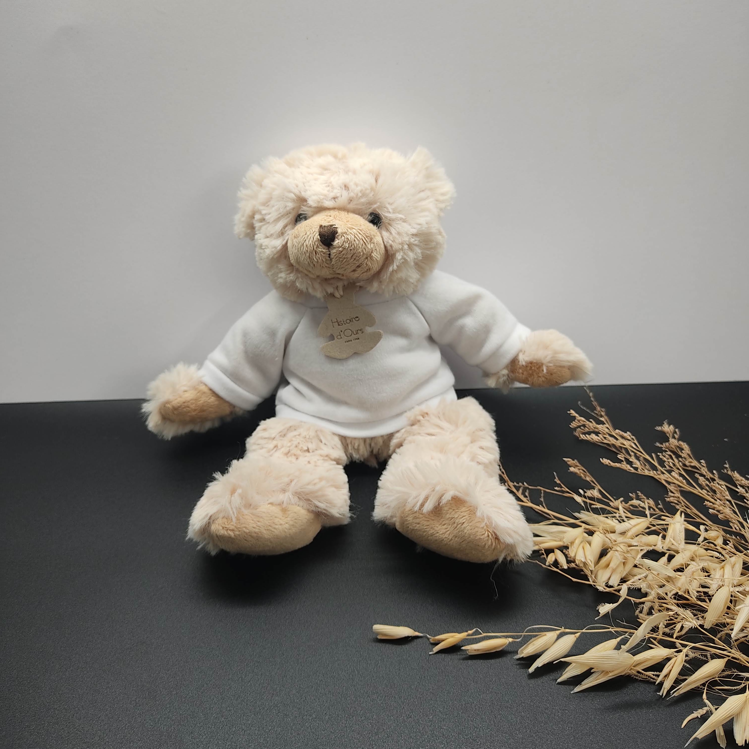 Peluche ours personnalisée