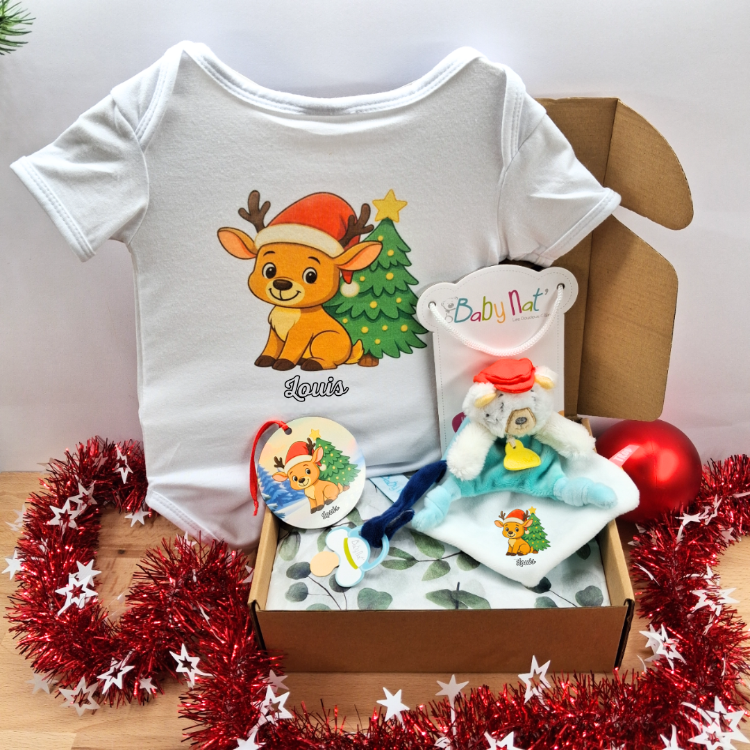 coffret-cadeau-noel-bebe-garcon-personnalise-renne-louis-doudou-baby-nat.png