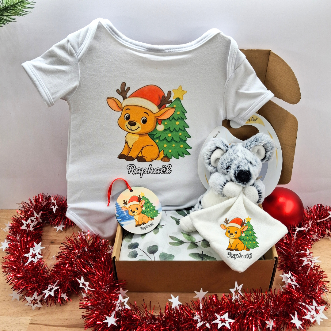 coffret-cadeau-noel-bebe-garcon-personnalise-renne-raphael-doudou-baby-nat.png