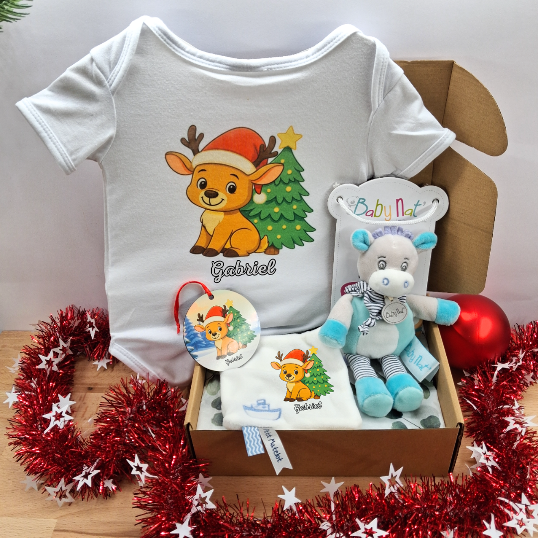 coffret-cadeau-noel-bebe-garcon-personnalise-renne-raphael-doudou-baby-nat.png