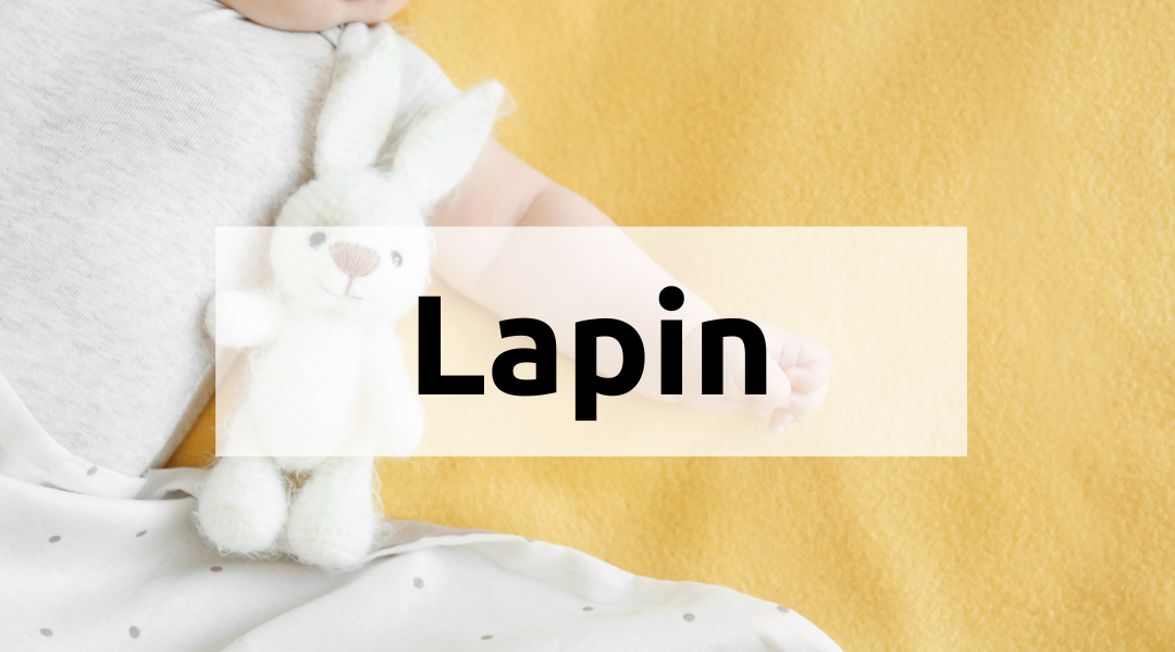 Cadeaux bébé personnalisé lapin