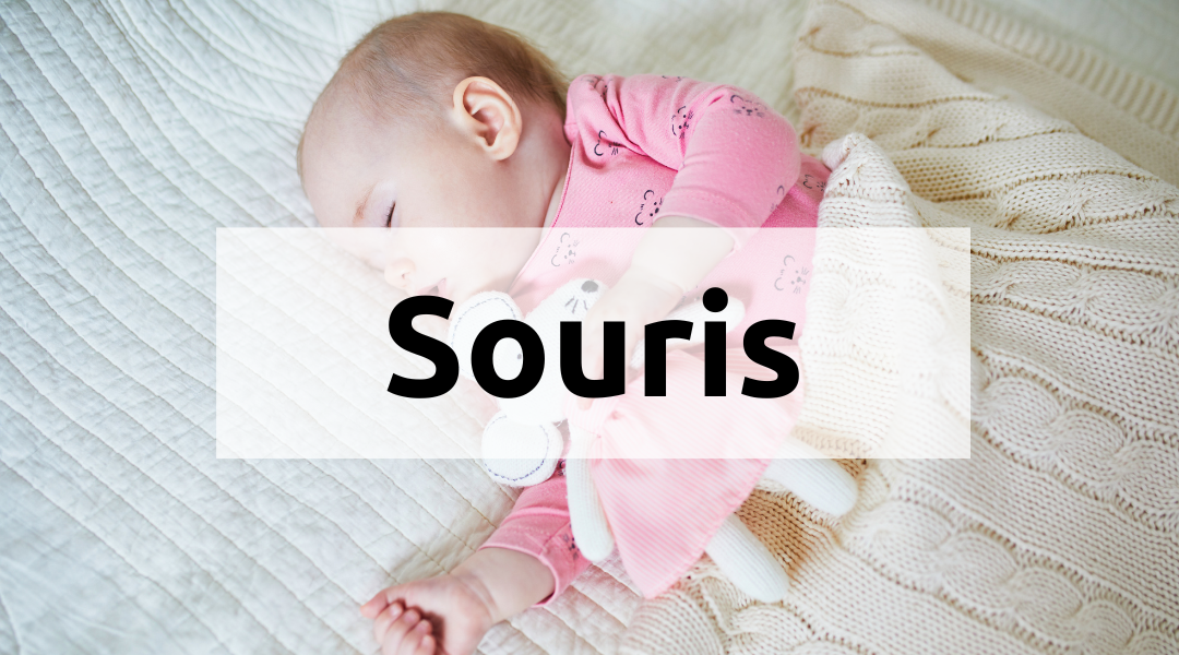 Cadeaux bébé personnalisé souris