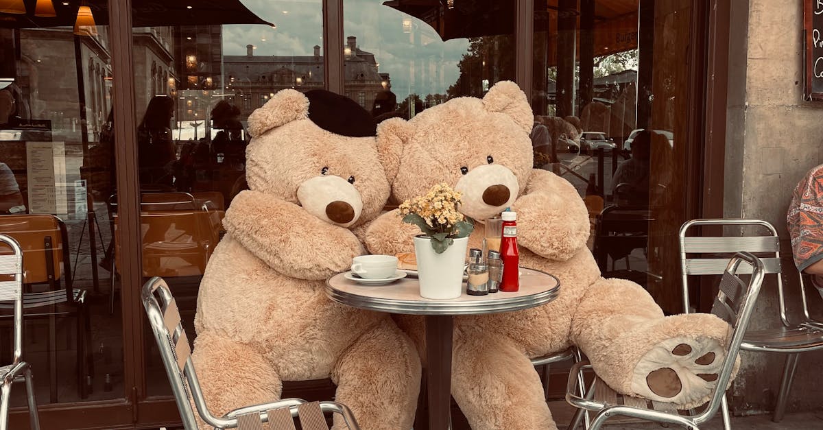 Deux ours en peluches