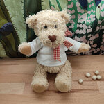 Ours en peluche t shirt