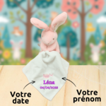 doudou-lapin-croky-baby-nat-personnalise.jpg