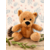 doudou ours marron