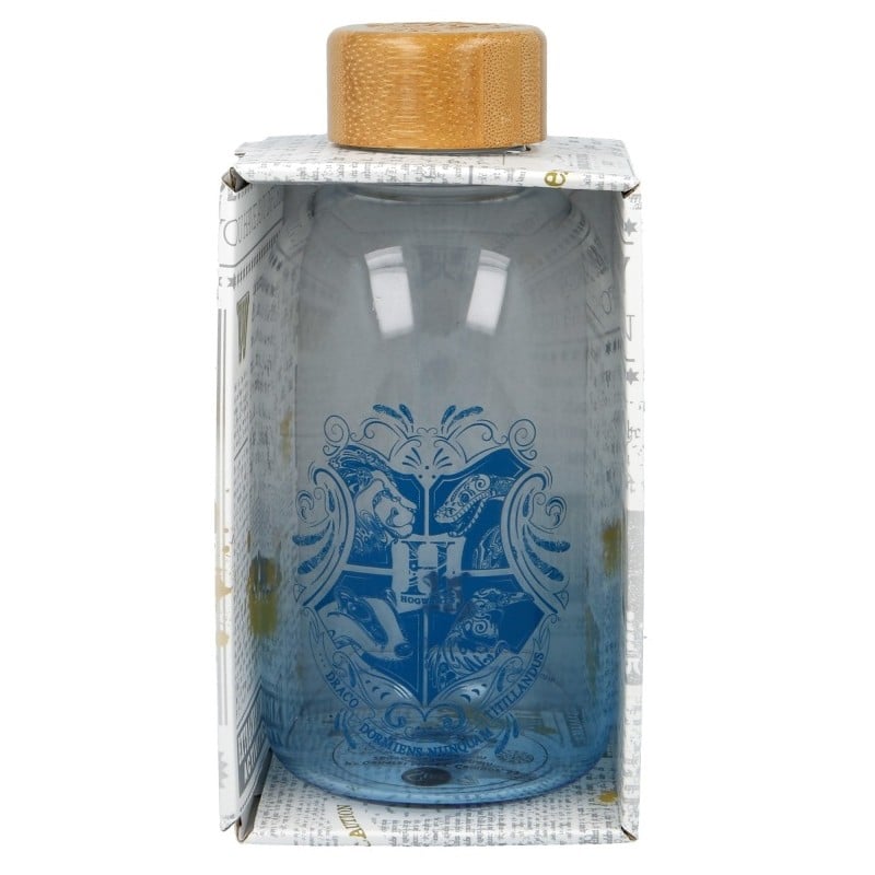bouteille-harry-potter-small-620-ml-17-cm-8412497003440_0