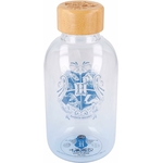 bouteille gourde verre bambou harry potter