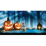 figurine enesco jack et sally 2