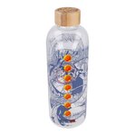 bouteille verre dragon ball