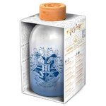 stor-un-verre-harry-potter-620ml-bouteille