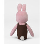 robbie the rabbit