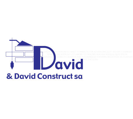 david david