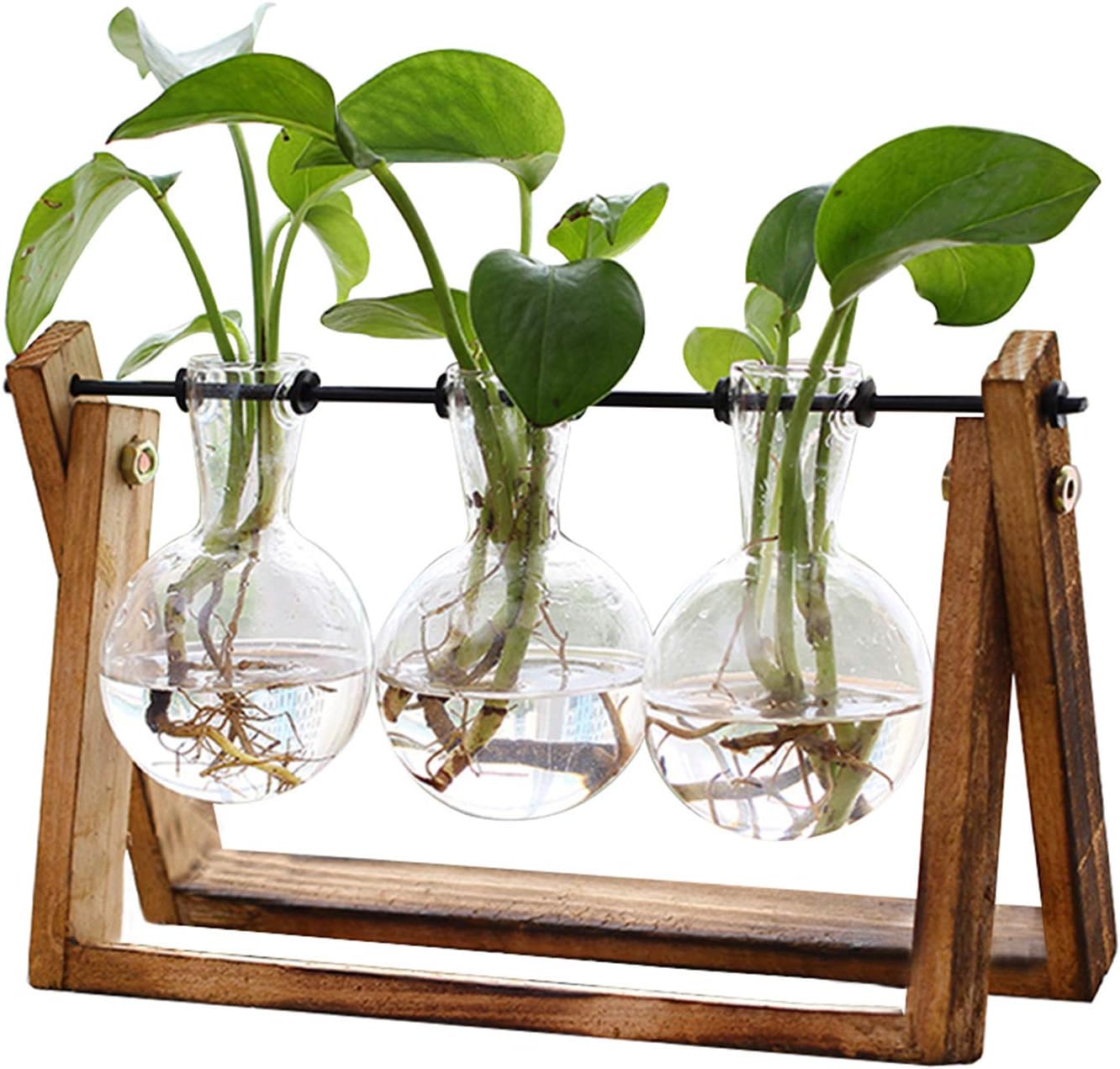 Rustic Charm Wood Plant Terrarium: Propagation Station with 3 Glass Bulb Vases for Indoor Gardening, Hydroponics