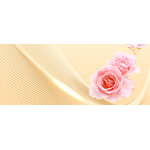 8a982513-4fa8-4dcb-86bb-a4fba173c638.__CR0,0,1464,600_PT0_SX1464_V1___
