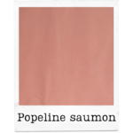 2. popeline bio saumon