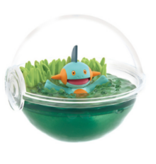 poke tere grenouille
