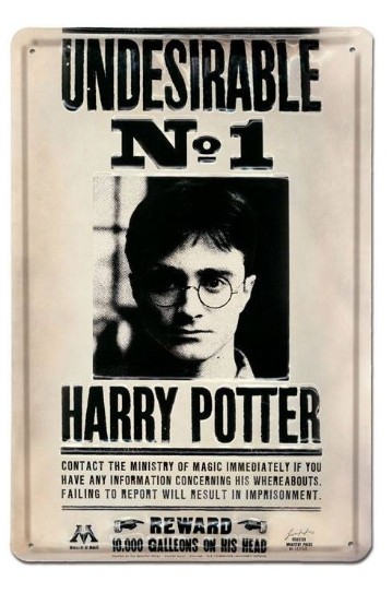 Harry Potter - Panneau métal 3D Undesirable No 1 20 x 30 cm