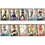 carte my hero2