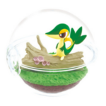 poke tere vert
