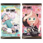 Spy card