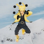 NARUTO V