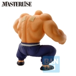 DRAGON BALL Z - ICHIBANSHO SON GOKU TRAINING SECTION - MASTER ROSHI