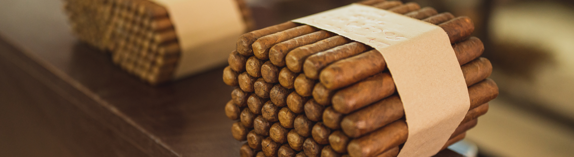 el rey del mundo