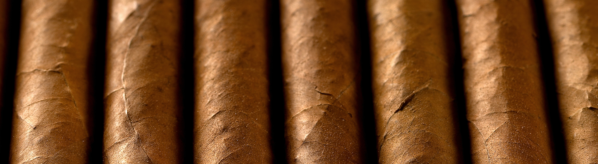 partagas