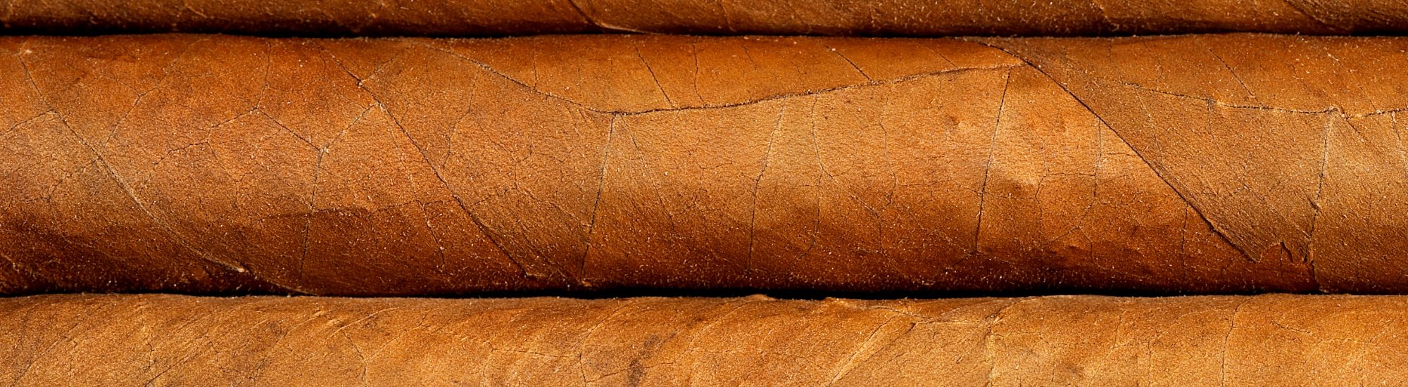romeo y julieta