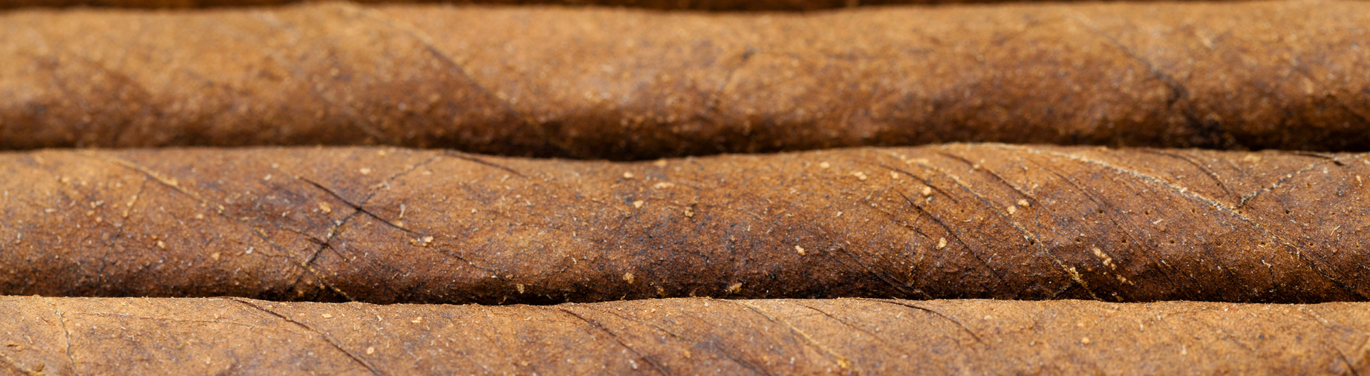 arturo fuente rosado