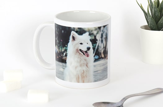 3-mug-simple-chien