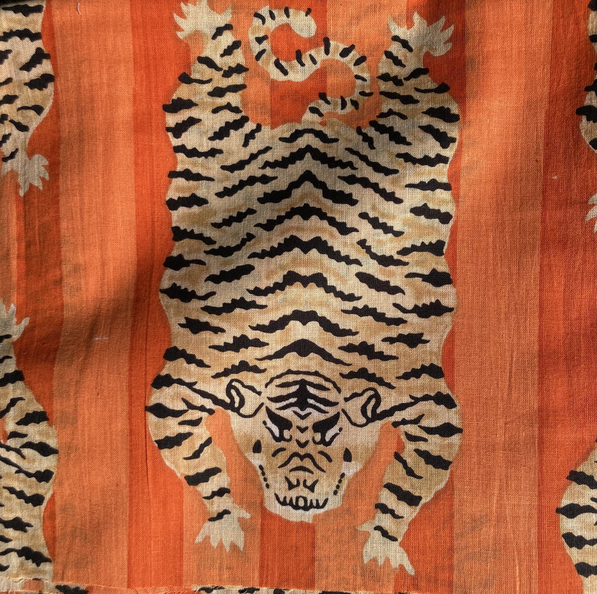 tigre orange