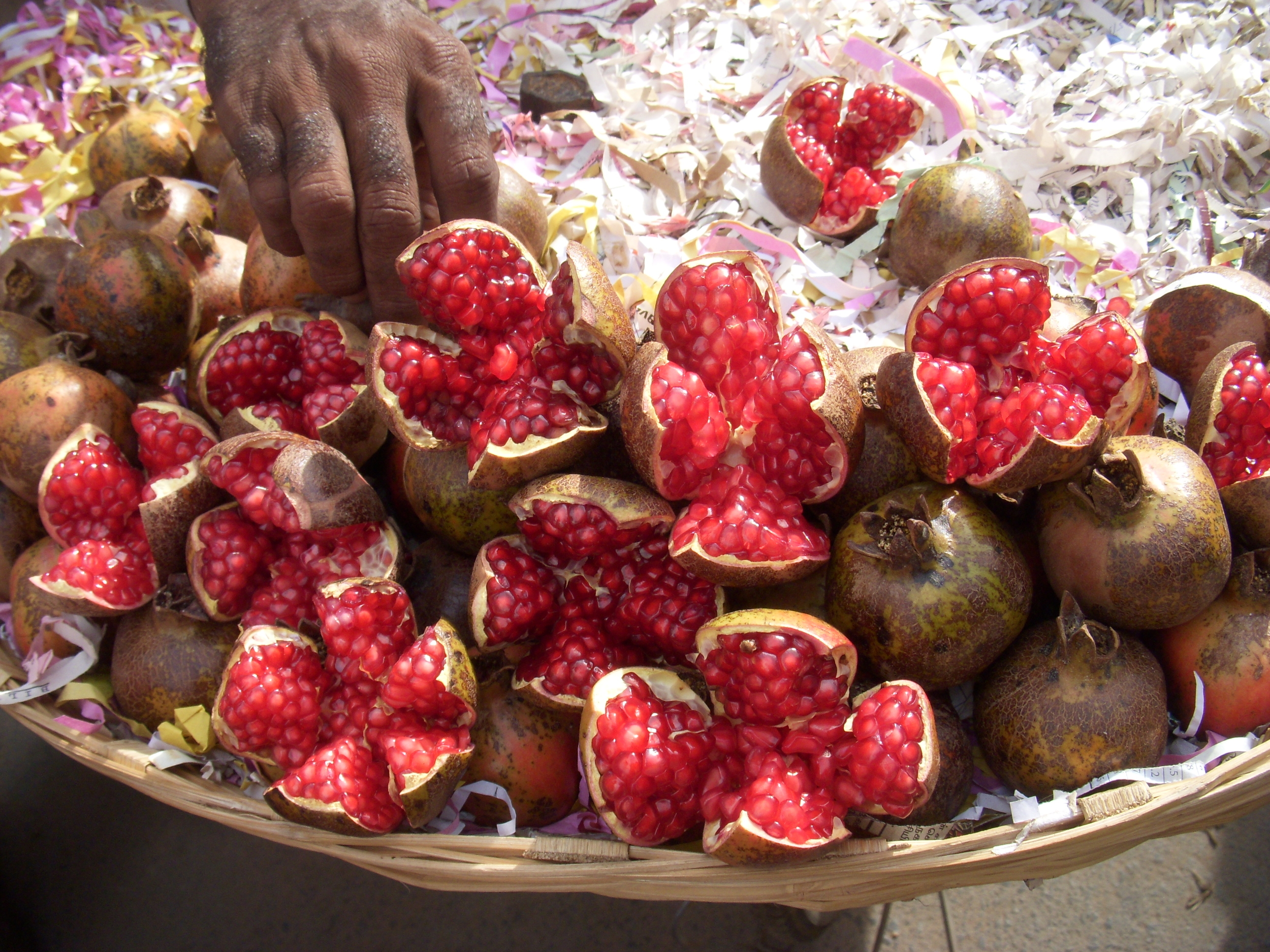 5-grenades trichy 2009