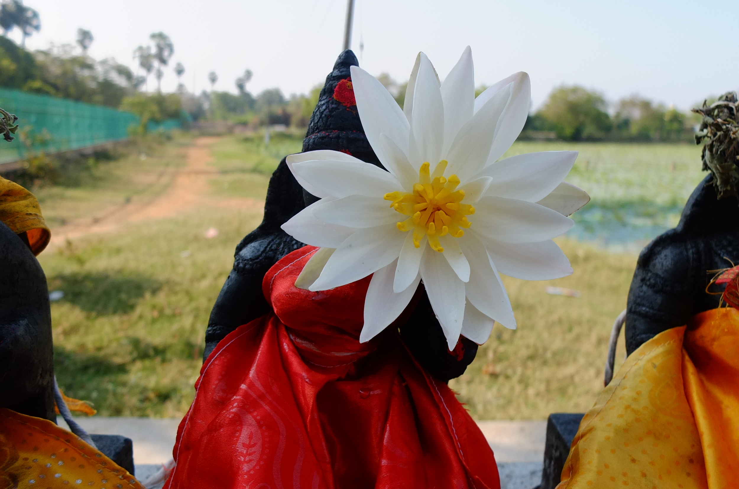9.Statue Lotus