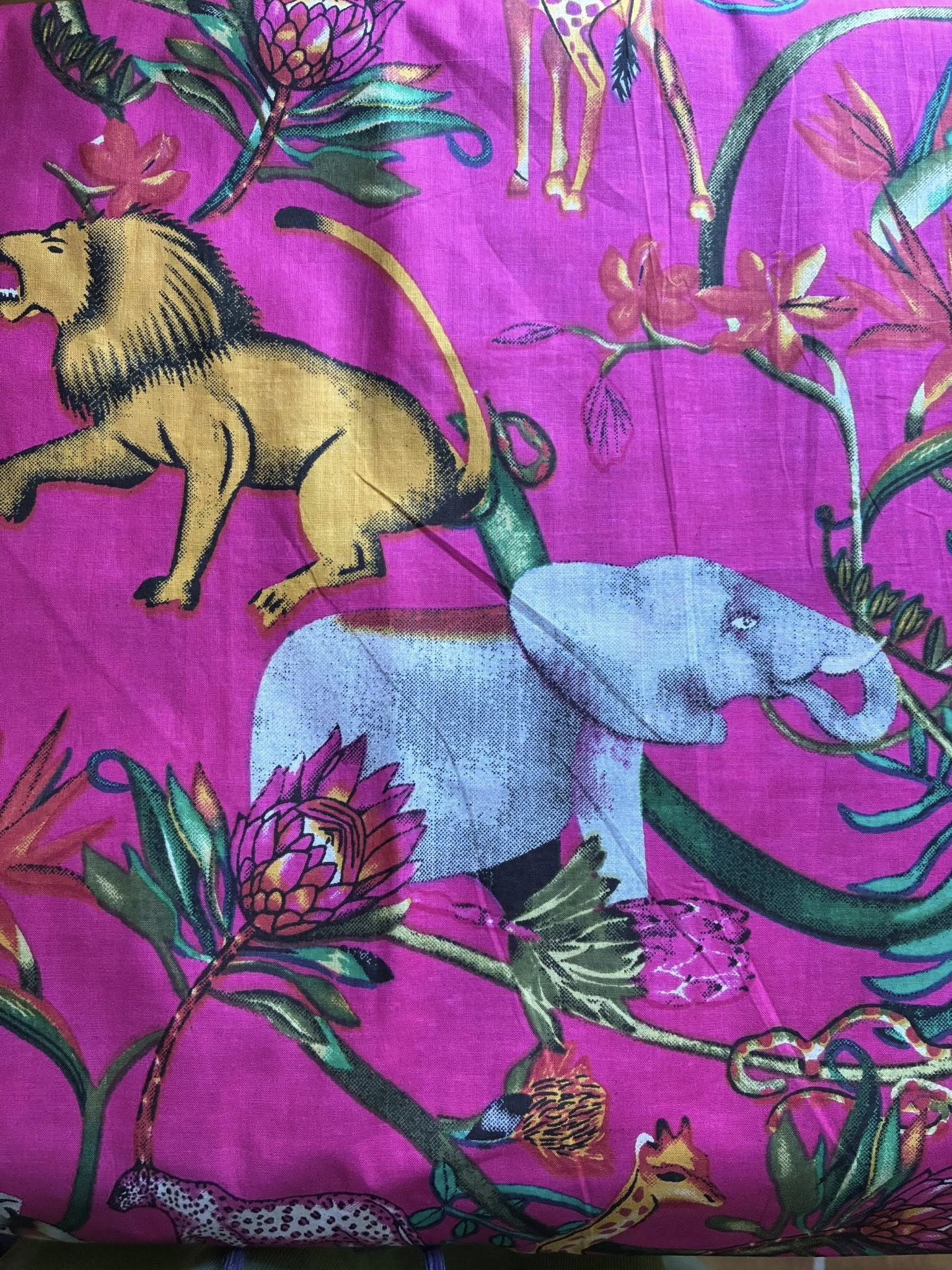éléphant et lion