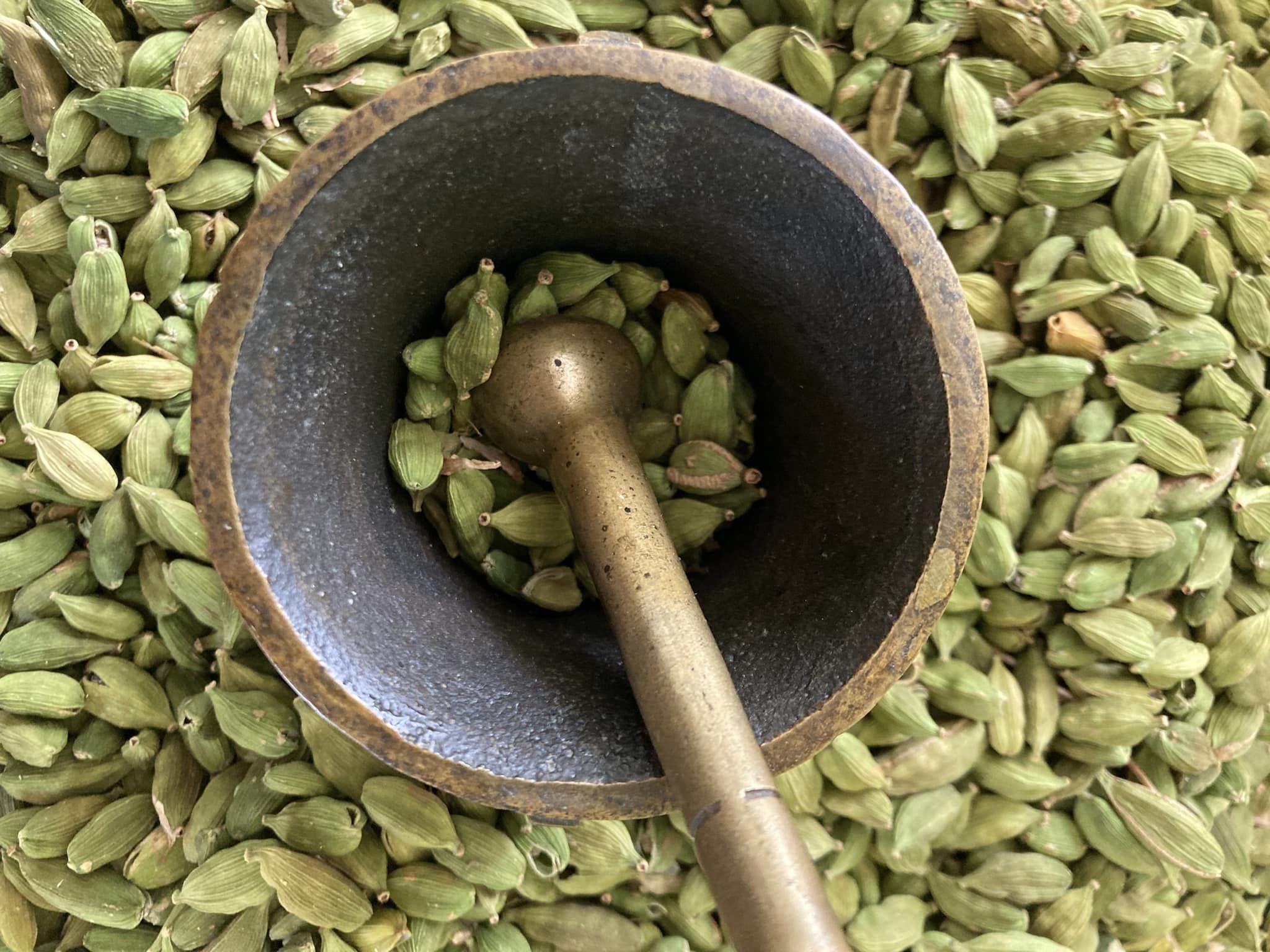 cardamome
