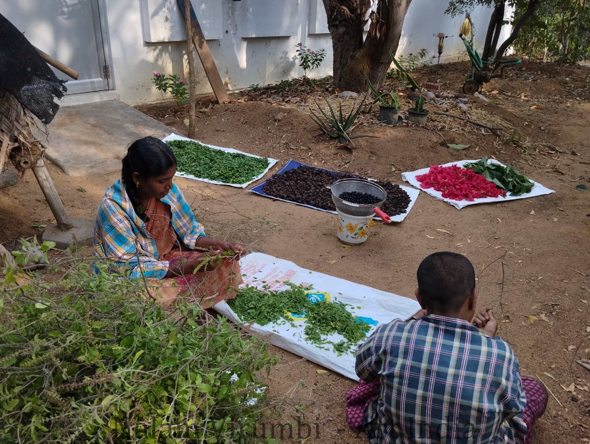 Épicerie Indienne 