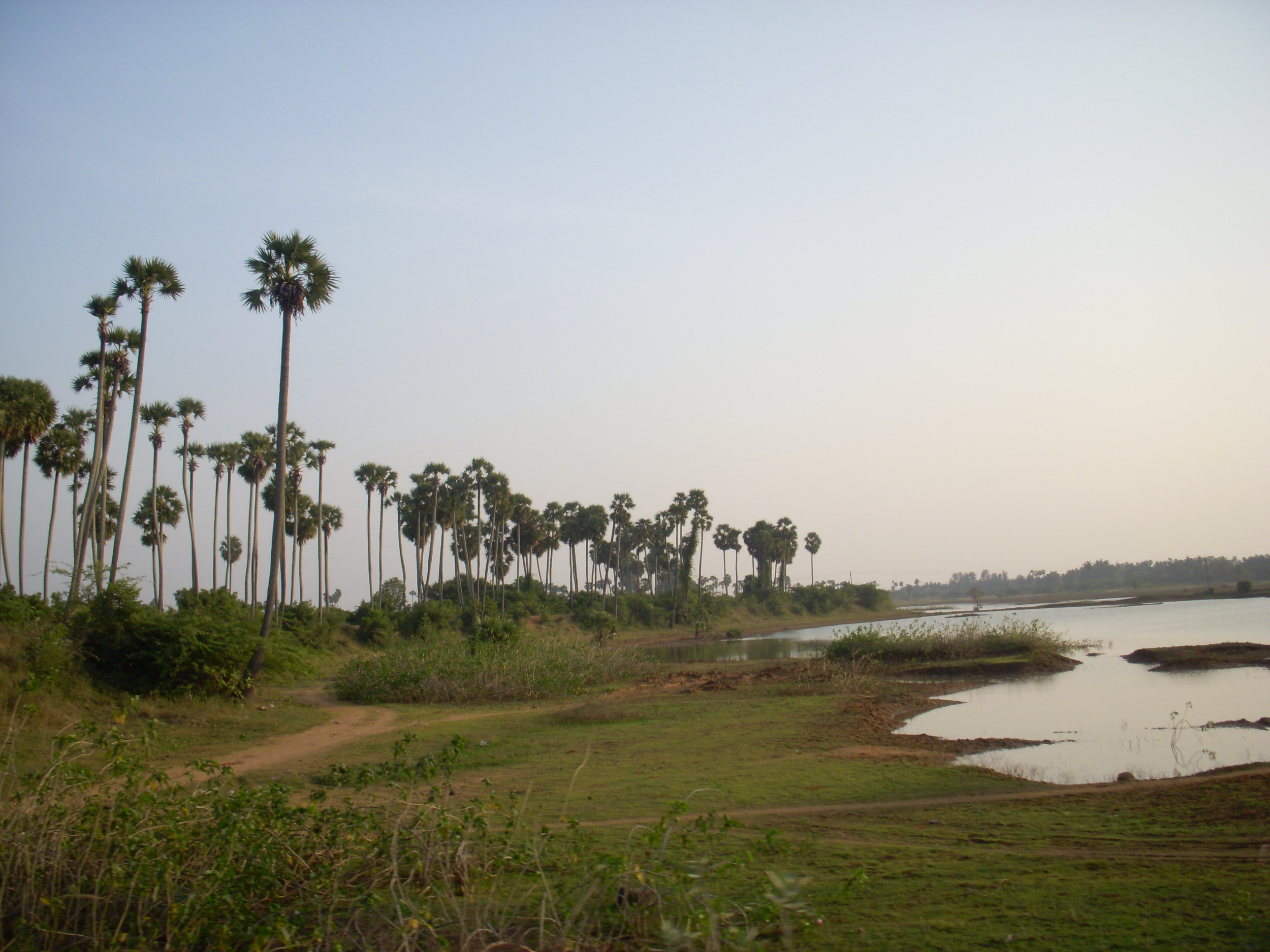 kerala